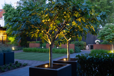 Complete Tuinrenovatie in Barneveld